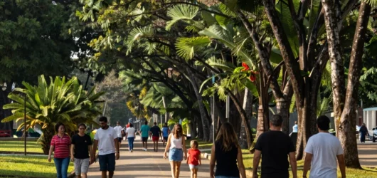 Roteiro ao ar livre: parques e áreas verdes em Santo André